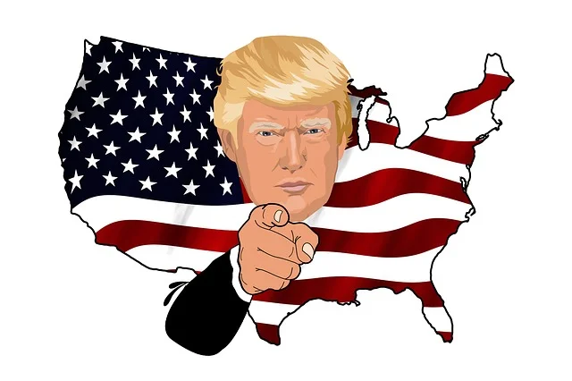 Trump U.S.A ( Gerd Altmann )