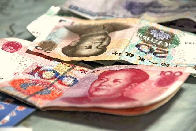 Chinese yuan ( faungg’s photos )