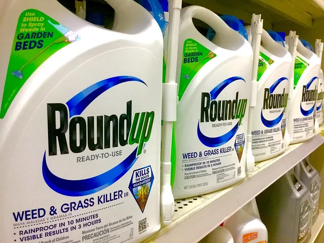 (Photo: Mike Mozart )
