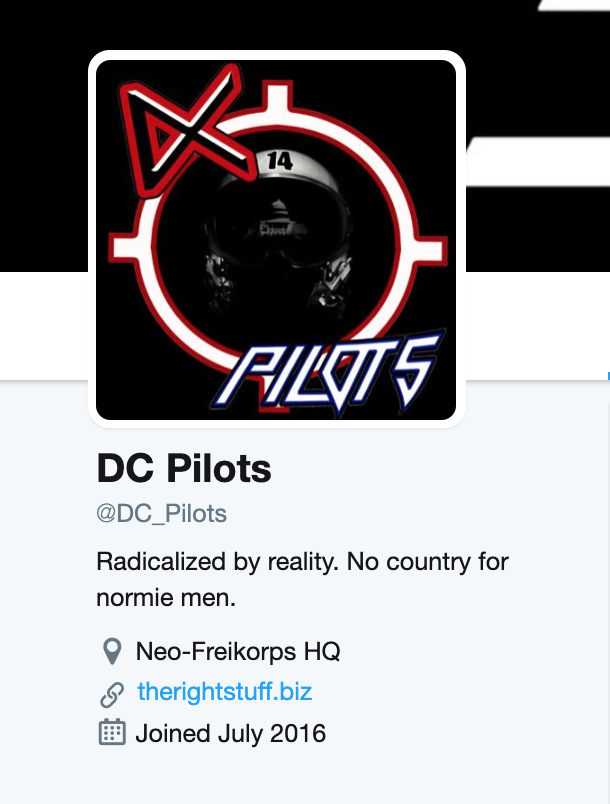 The DC_Pilots Twitter bio shows the same "radicalized by reality" line featured on accounts linked to Gebert.