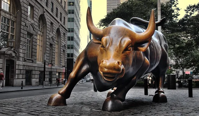 Charging Bull- New York City ( Sam Valadi )