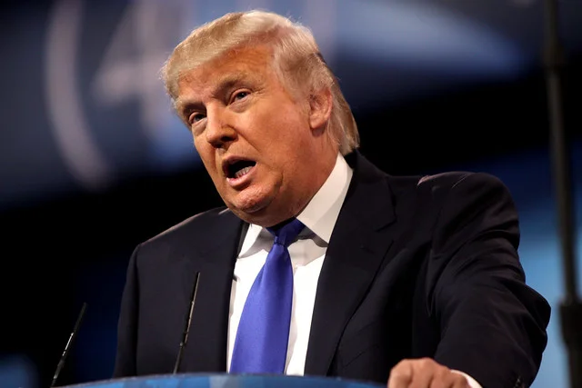 Donald Trump ( Gage Skimore )