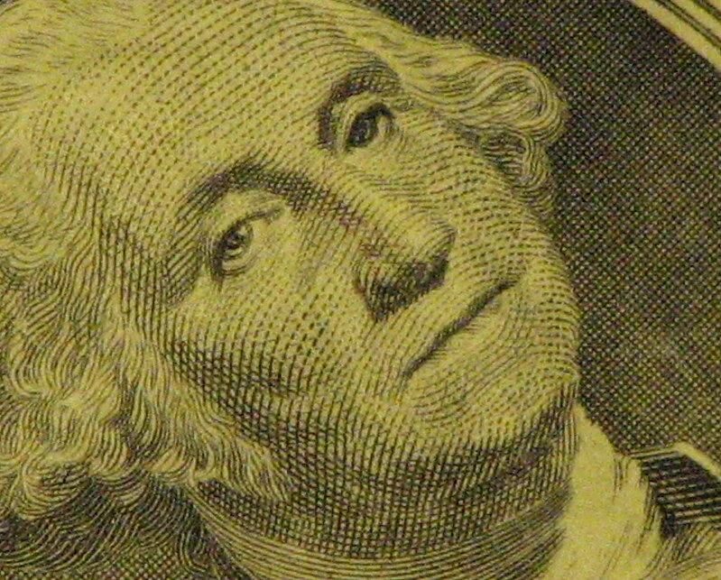 US Dollar Bill ( Mike )