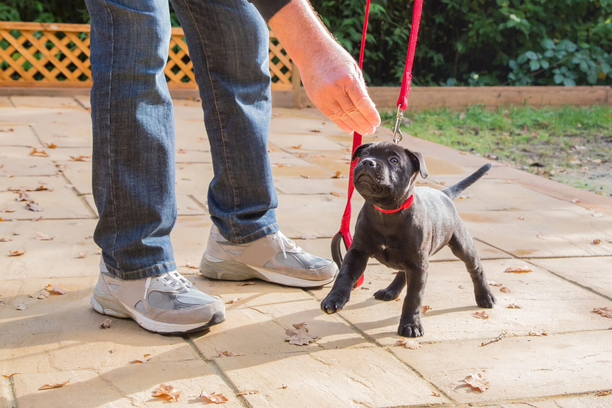 Photo by CBCK-Christine/iStock / Getty Images