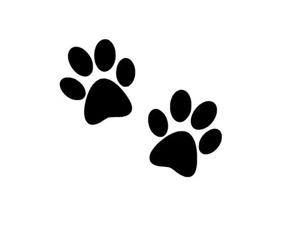 Help for veterinarians