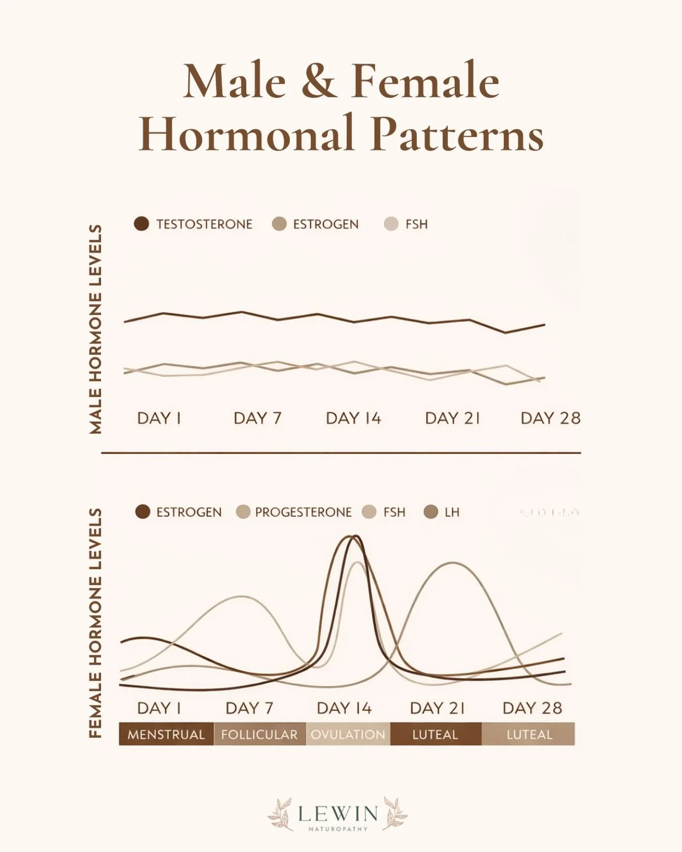 How beautiful are our differences? ☯️
🌞Men have a 24 hour rhythm and follow the sun. Testosterone peaks in the morning and slowly drops to its lowest level in the evening.

🌕Women have a 28 day rhythm that follows the moon. Within this 28 days l, w