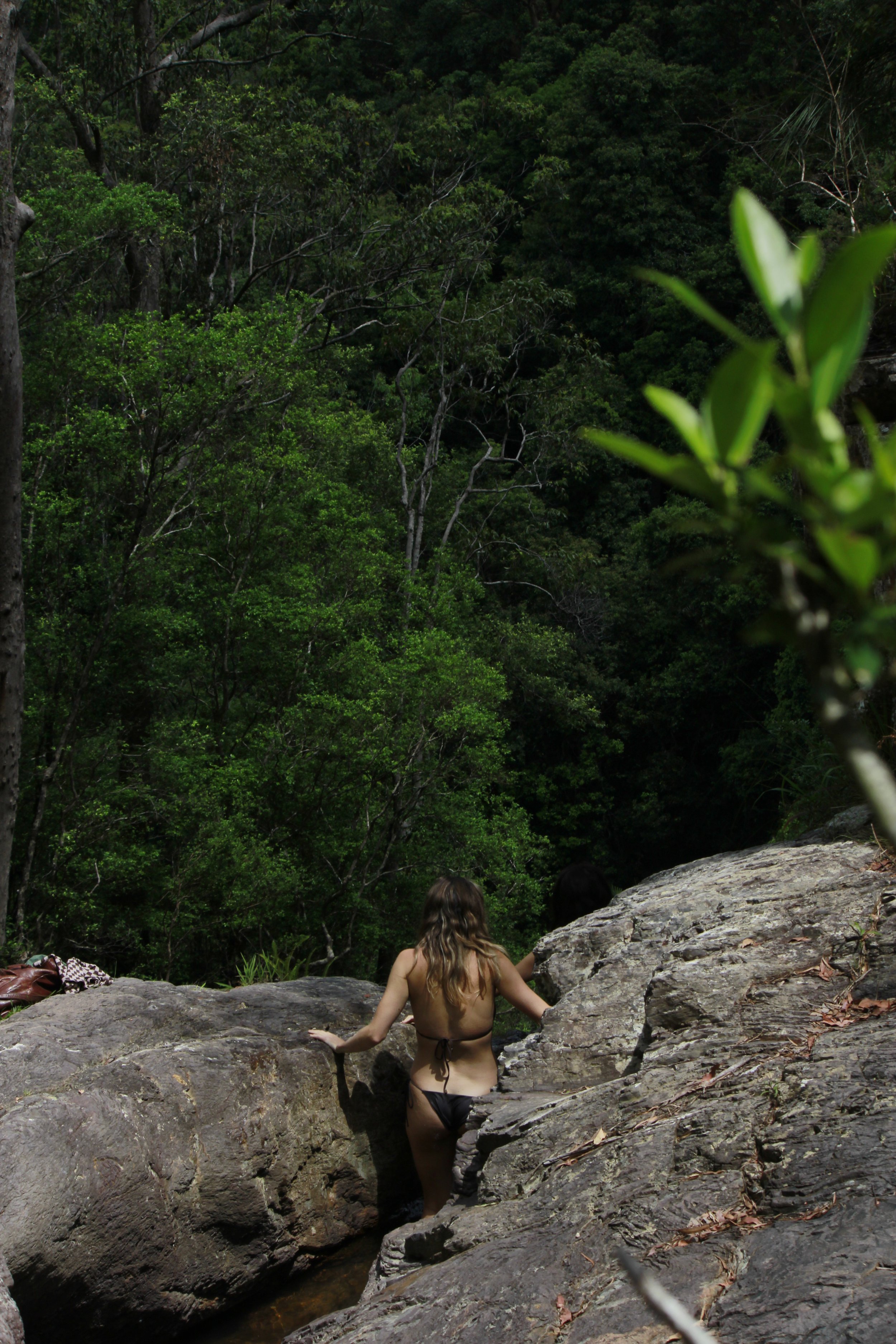 6 WEEK RESET: Everything You Need to Know