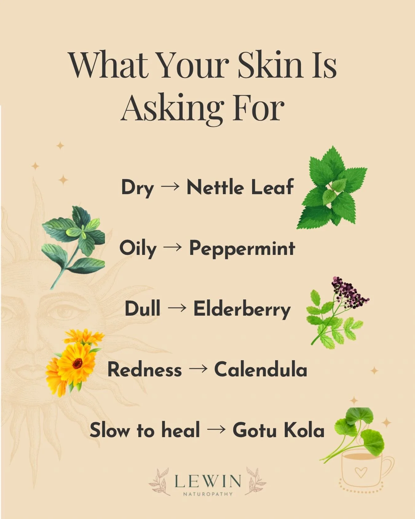 Breakouts, dullness, redness, or skin that just feels &ldquo;off&rdquo; is often your body communicating that something deeper needs support, not just something to cover up.

Your skin is constantly reflecting what&rsquo;s happening internally. 🤍

T