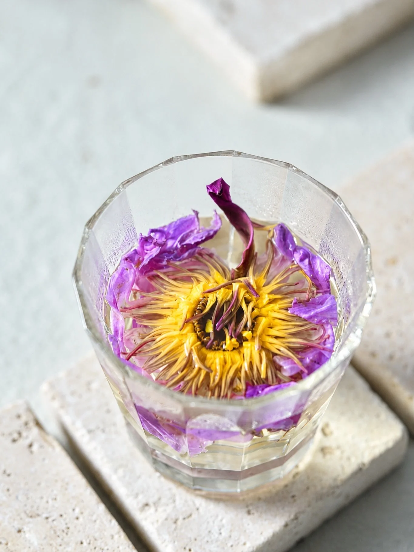 Have you experienced the pure magic of Blue Lotus Tea? 🪷

This flower goes beyond the physical. It elevates you, whilst also relaxing your body and mind. It sprinkles magic into your dreams. 🪄 Blue lotus opens your third eye so that you become a co
