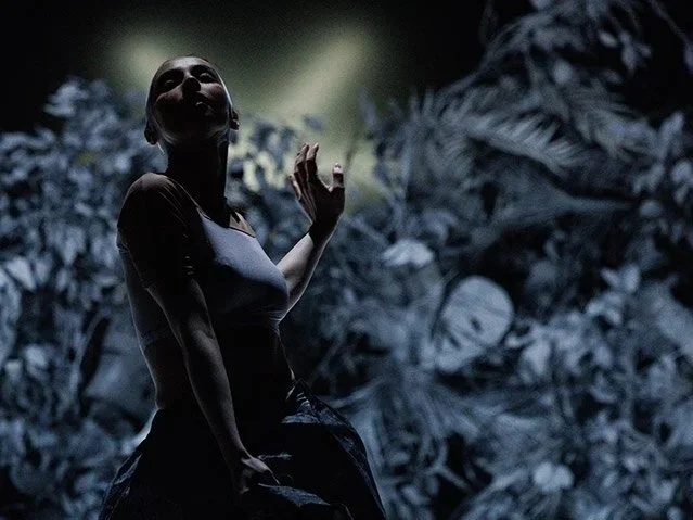 Fiesta! (staged dance performance)