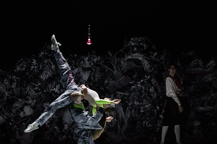 Fiesta! (staged dance performance)