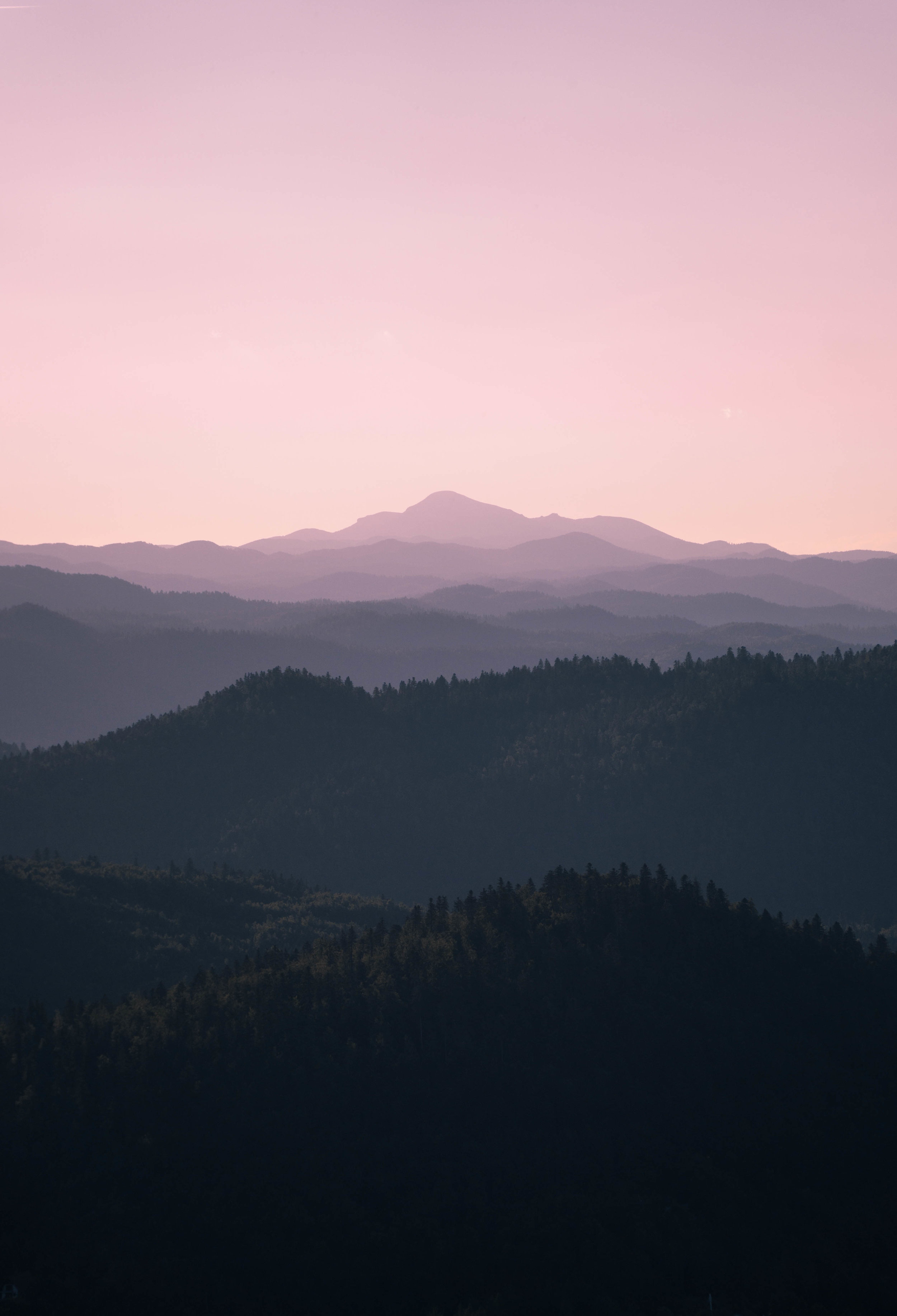 Self Check-in + Reflection