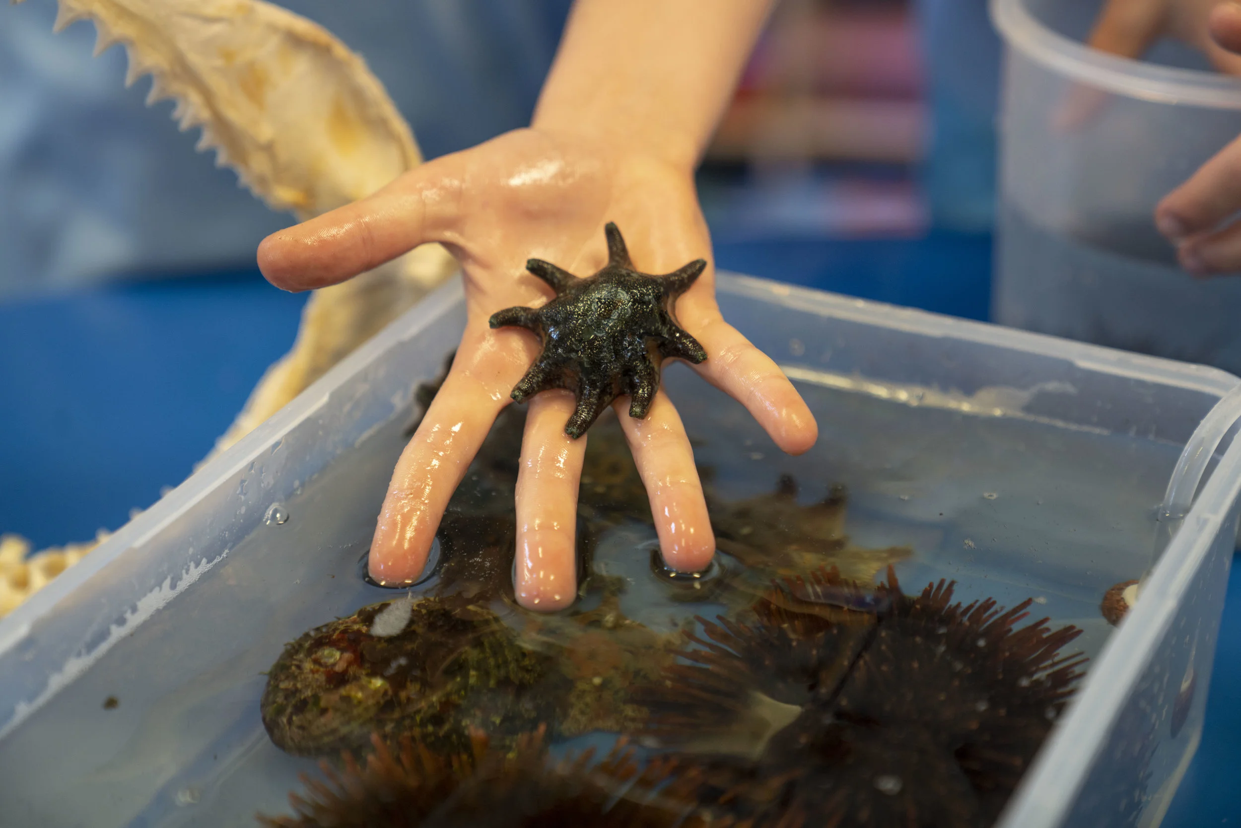 DSC08796[1].jpg