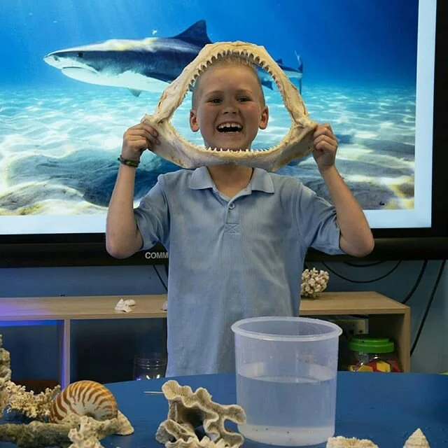 Sea Me Learn is an exciting school incursion that ignites children's curiosity about the wonders of the ocean. Key themes for all our presentations include sustainability,  conservation and animal adaptations.

We bring along a collection of sea life