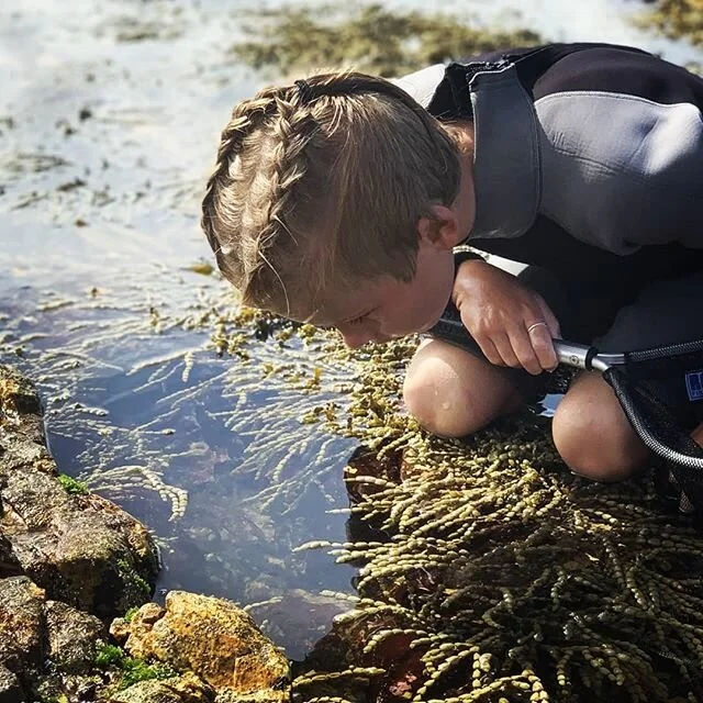 The ocean and it's creatures ignite children's curiosty and their desire to learn about the world around them. Sea Me Learn educational incursions bring the wonders of the ocean to your classroom. For more imformation : www.seamelearn.com .
.
.
#educ