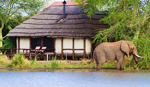 Kruger National Park.jpg