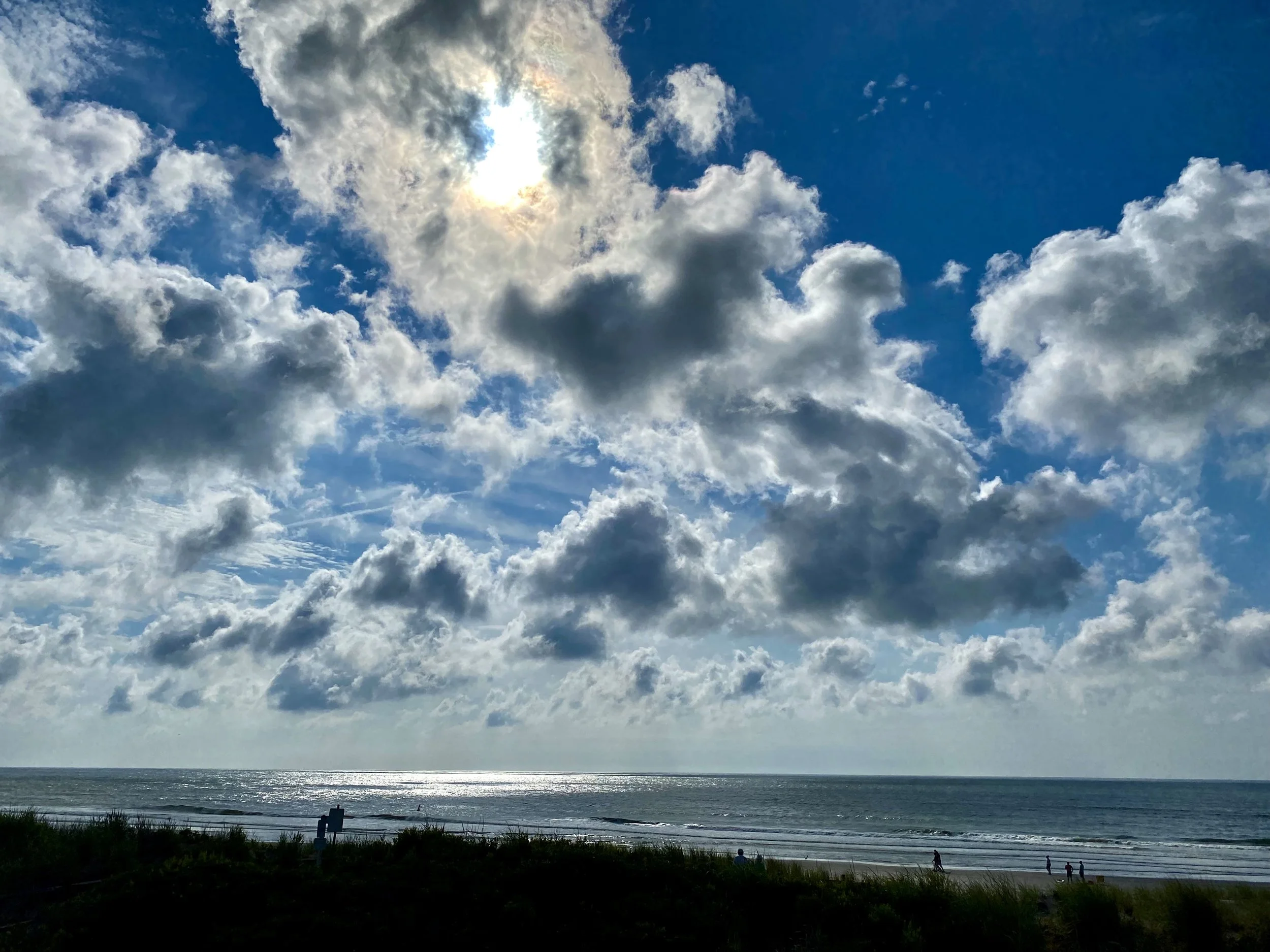 Living Life Within Compassionate Chaos