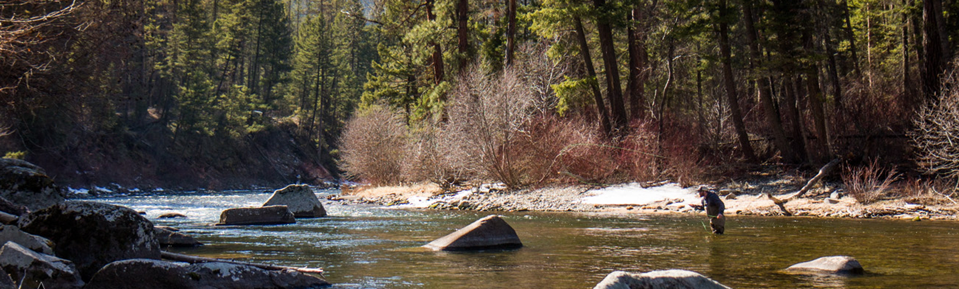 up-the-creek-fishing.png