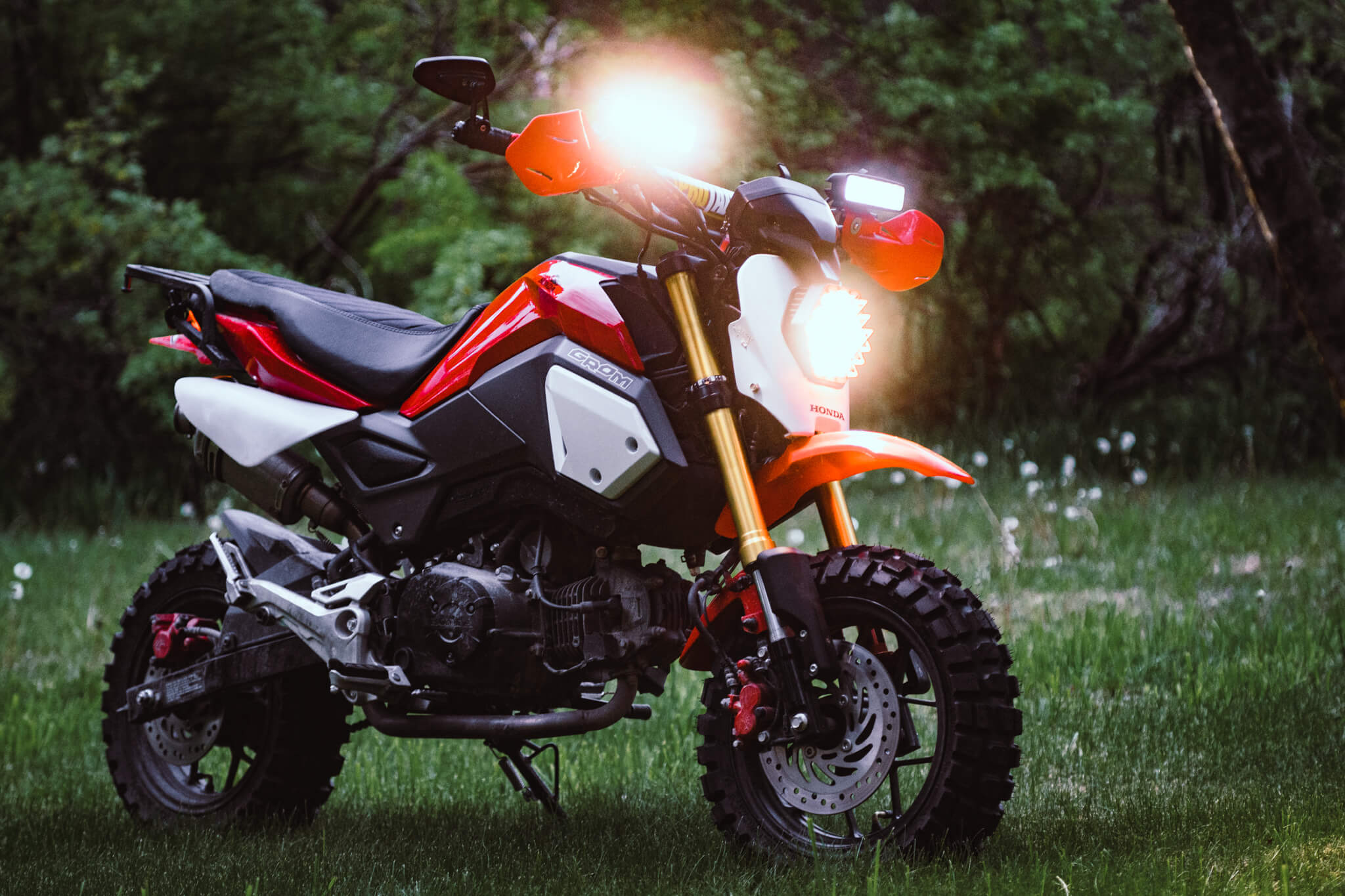 Wandergrom Off Road Honda Grom Dirt Bike Build Wanderlust Not Less Adventure Photography Nature Stickers