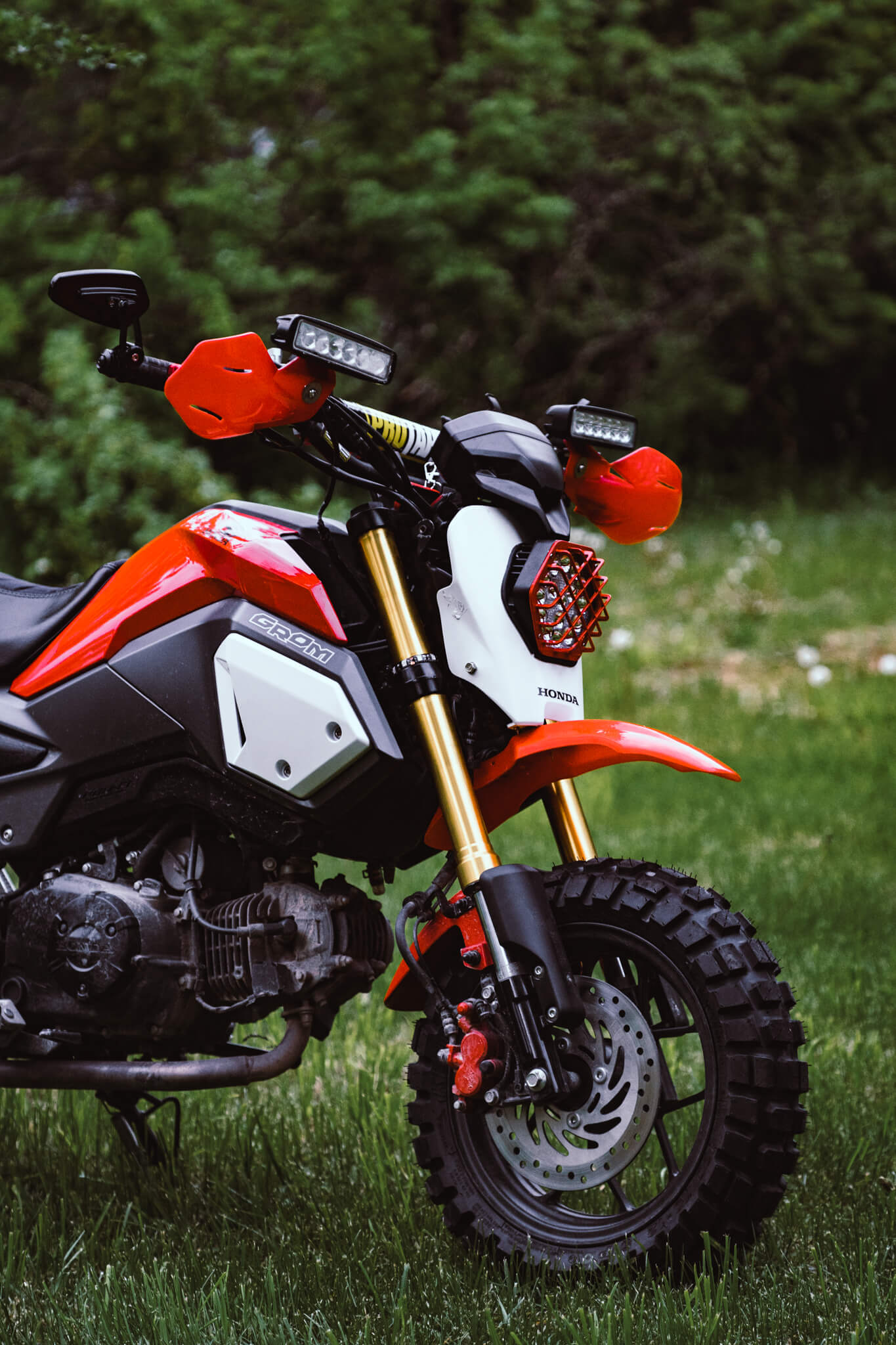 Honda Grom Scrambler : mini-moto pour adulte