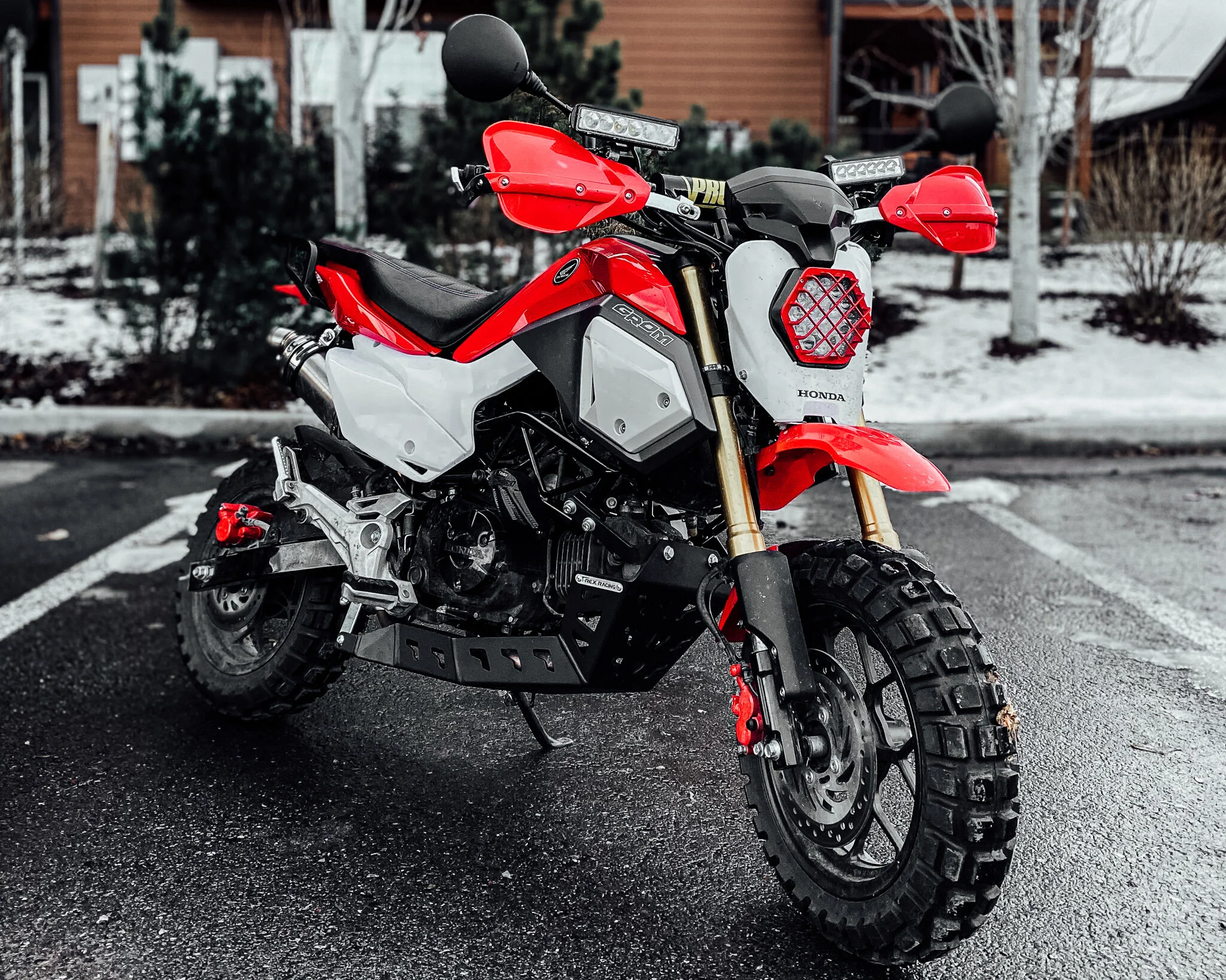 Honda Grom Scrambler : mini-moto pour adulte