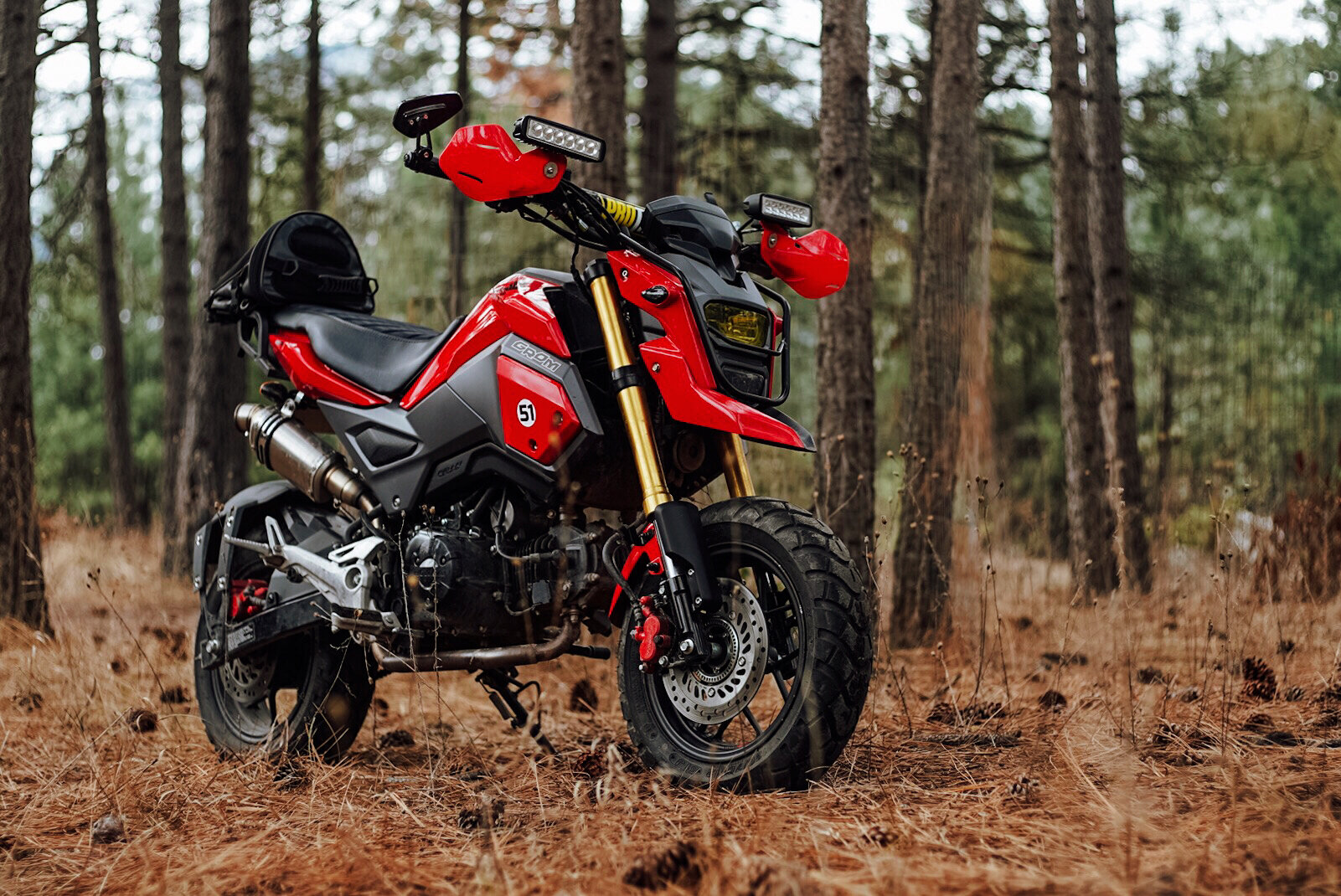 honda grom next to other bikes