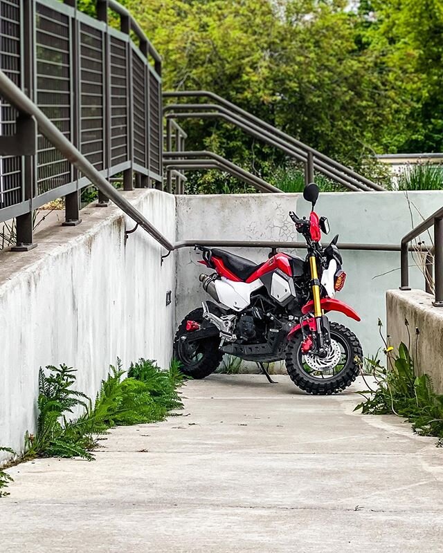 Just trying to blend into the architecture &amp; overgrowth.
&mdash;&mdash;&mdash;&mdash;&mdash;&mdash;&mdash;&mdash;&mdash;&mdash;&mdash;
#grf125
#wandergrom
#wanderlustnotless
#dhmotoring
#trexracing
↟
↟
↟
↟
↟
#honda #hondagrom #hondagromlifestyle 