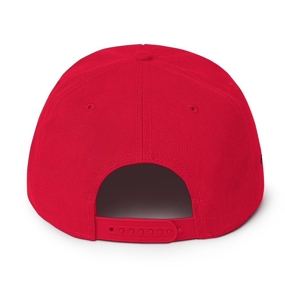 snapback-red-back-674f64cf0c7df.jpg