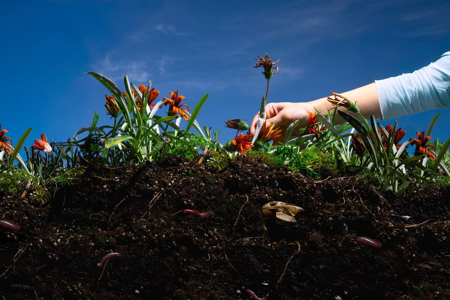keep digging
40 x 60 in luster print
available in more sizes
From my project &ldquo;Falling Inwards&rdquo;
