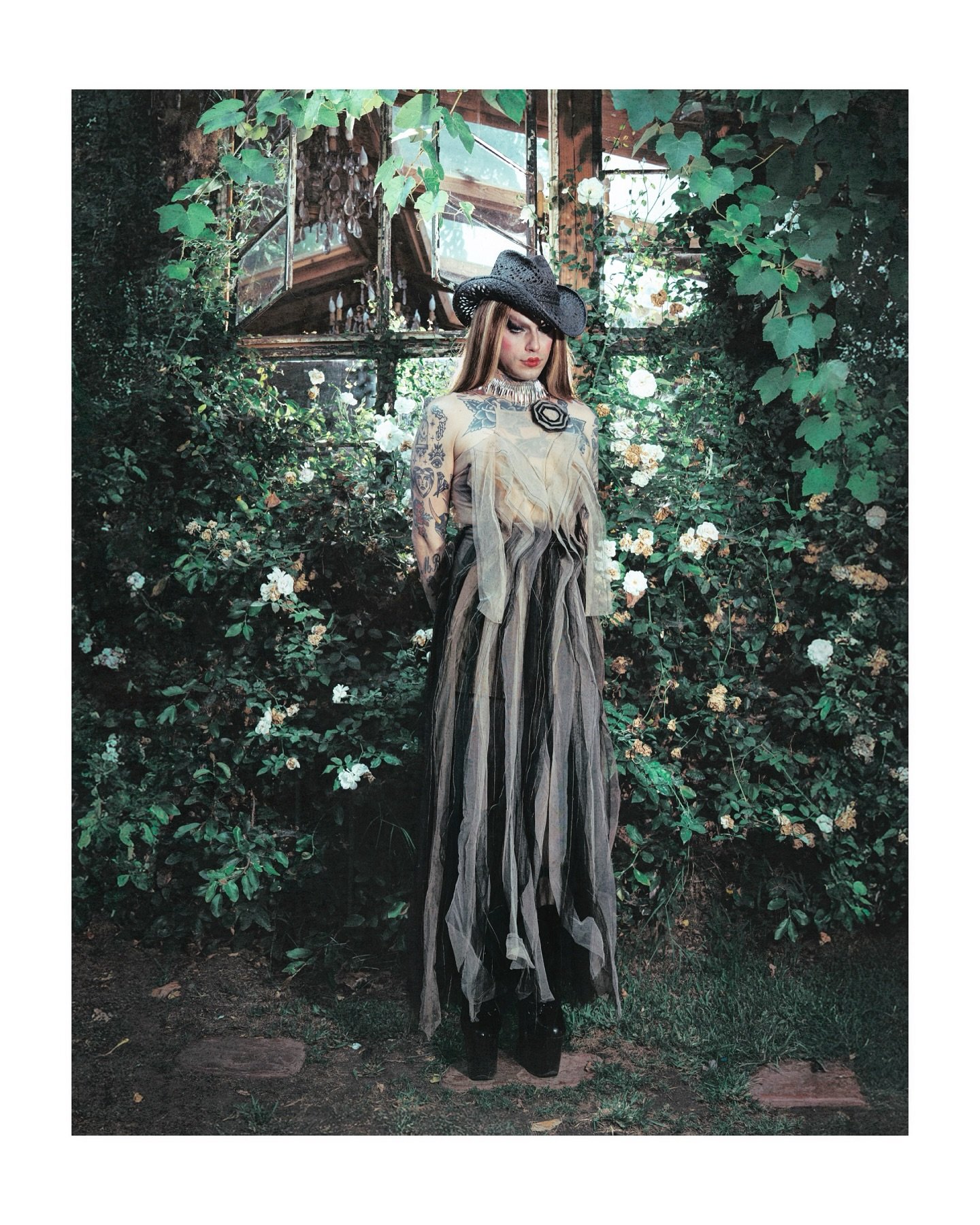 &ldquo;the greenhouse&rdquo; shot by Chris Melegos
with @lady.josephine_ 
Dress from @cosmosglamsquad @queenofmelrose 

#creativeportraits #fashionphotoshoot #surrealphotography #cinematicphotography #laphotographer