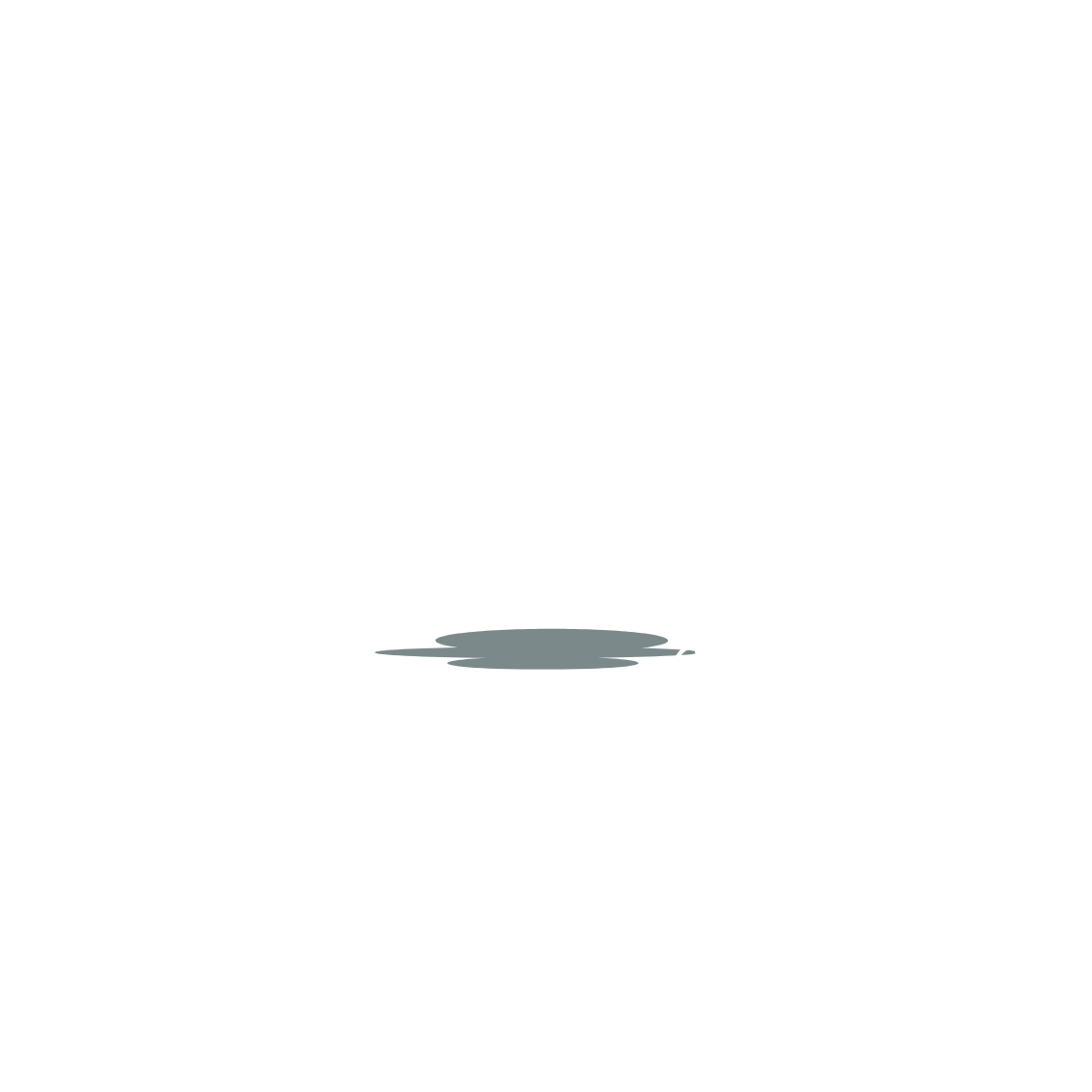 Meggabyte Leather
