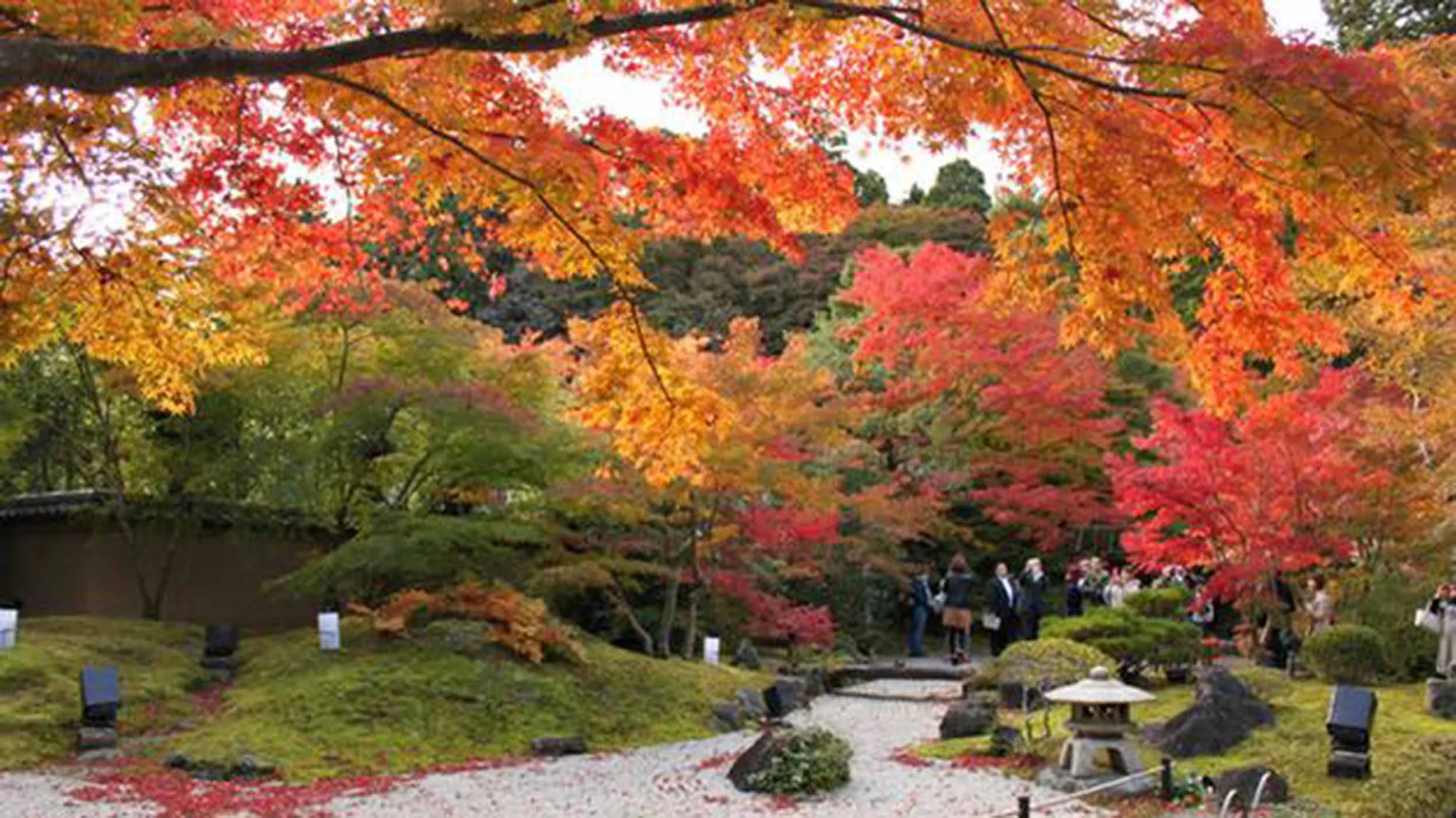 japan_matsushima_entsuintemple.jpg