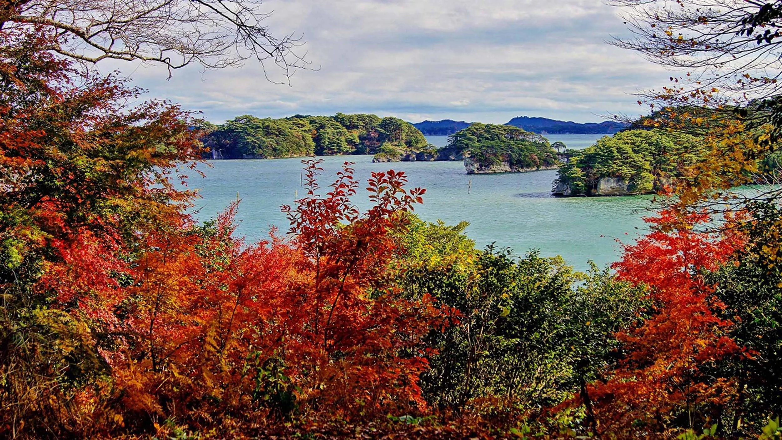 japan_matsushima.jpg