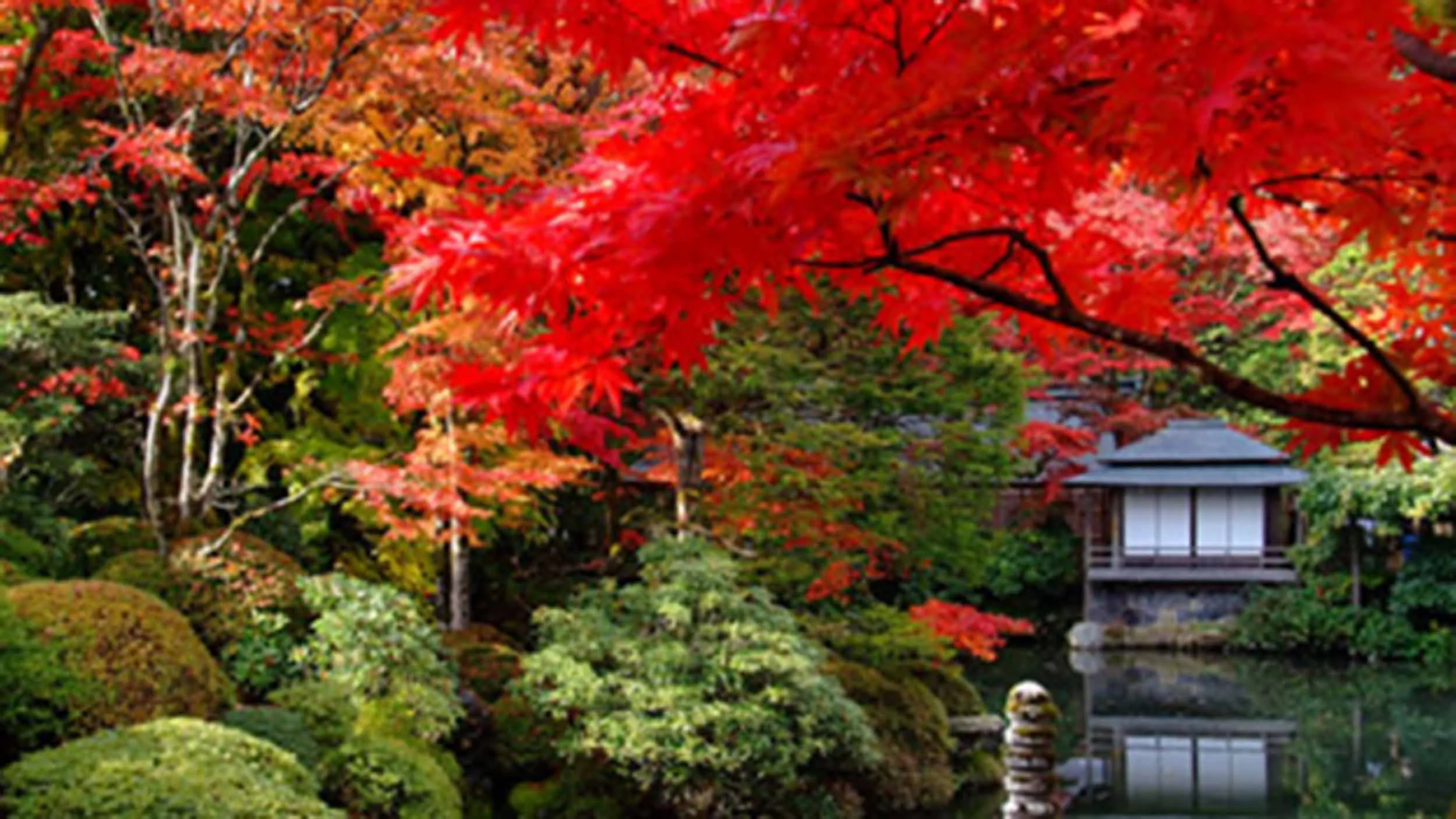 japan_nikko_toshogu.jpg