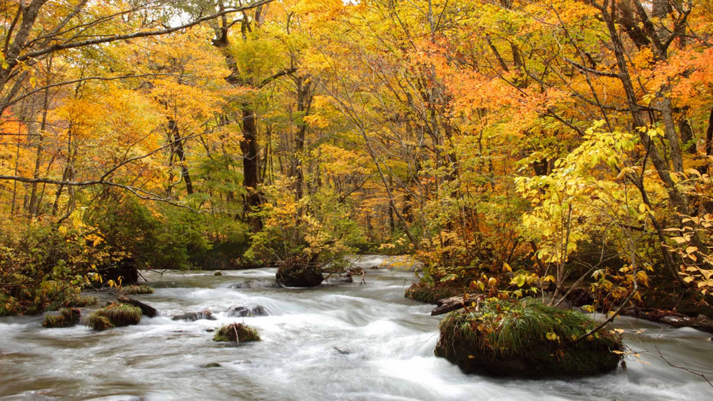 japan_oirase_river.jpg