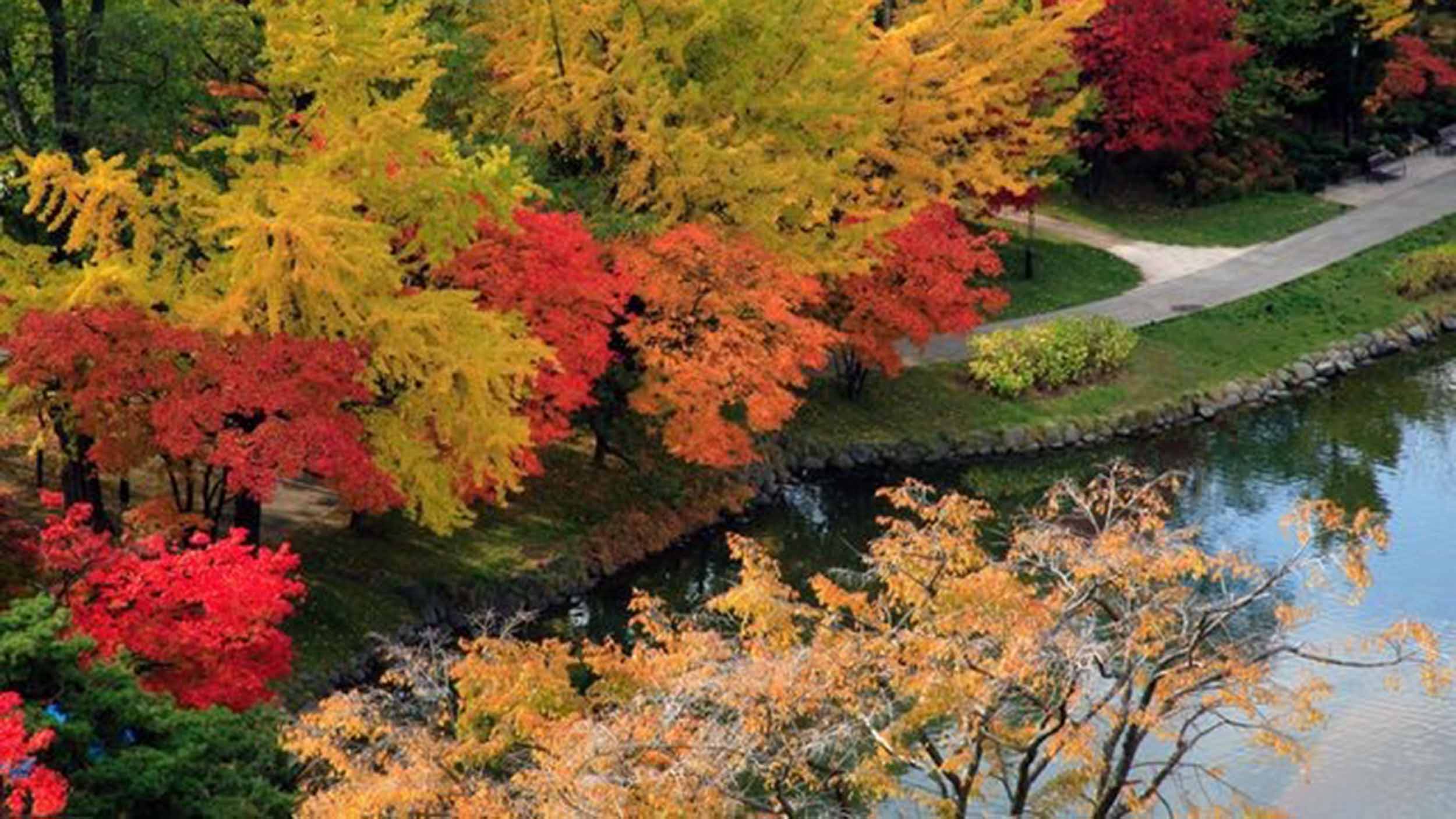 japan_sapporo_nakajima_park2.jpg