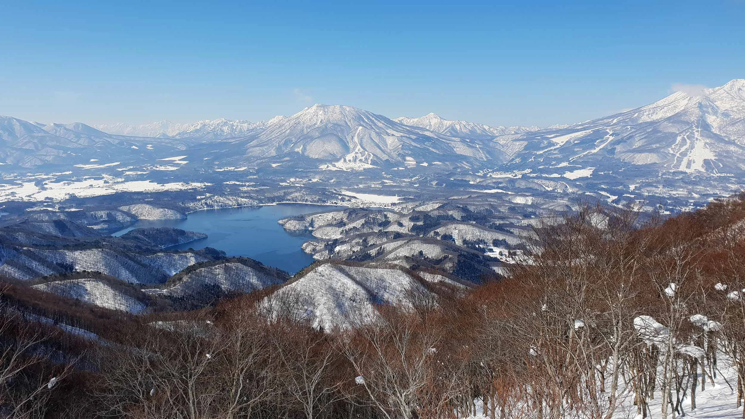 20190218_111250.jpg