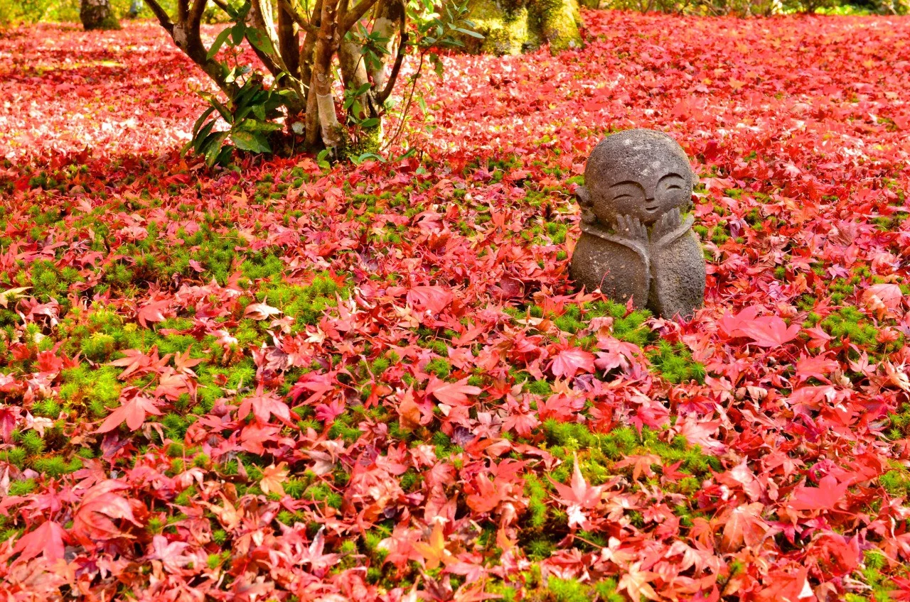 General autumn.jpg