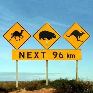road-signs-c.jpg