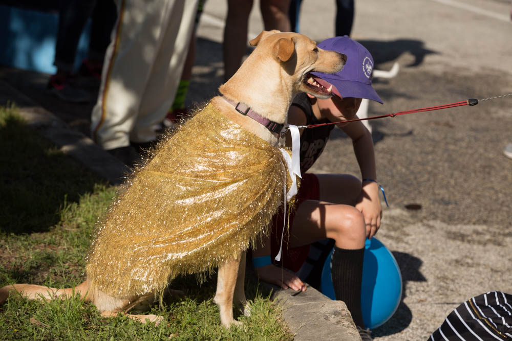 Richter_kay_2019_FIESTA_sentinel_poochParade006-1.jpg