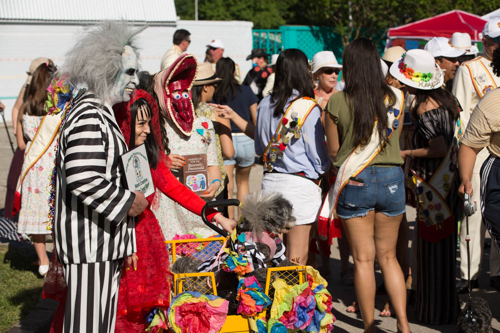 Richter_kay_2019_FIESTA_sentinel_poochParade008-1.jpg