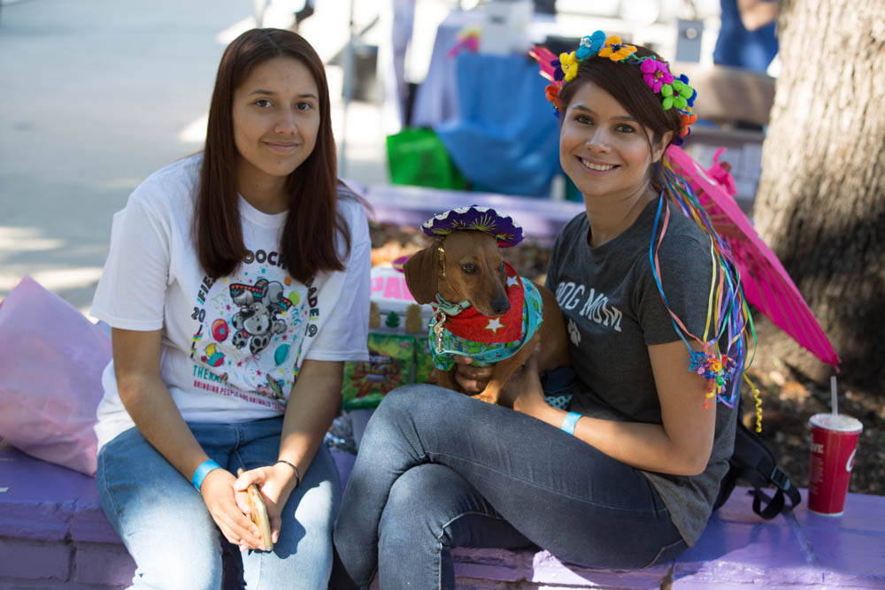 Richter_kay_2019_FIESTA_sentinel_poochParade013-1.jpg