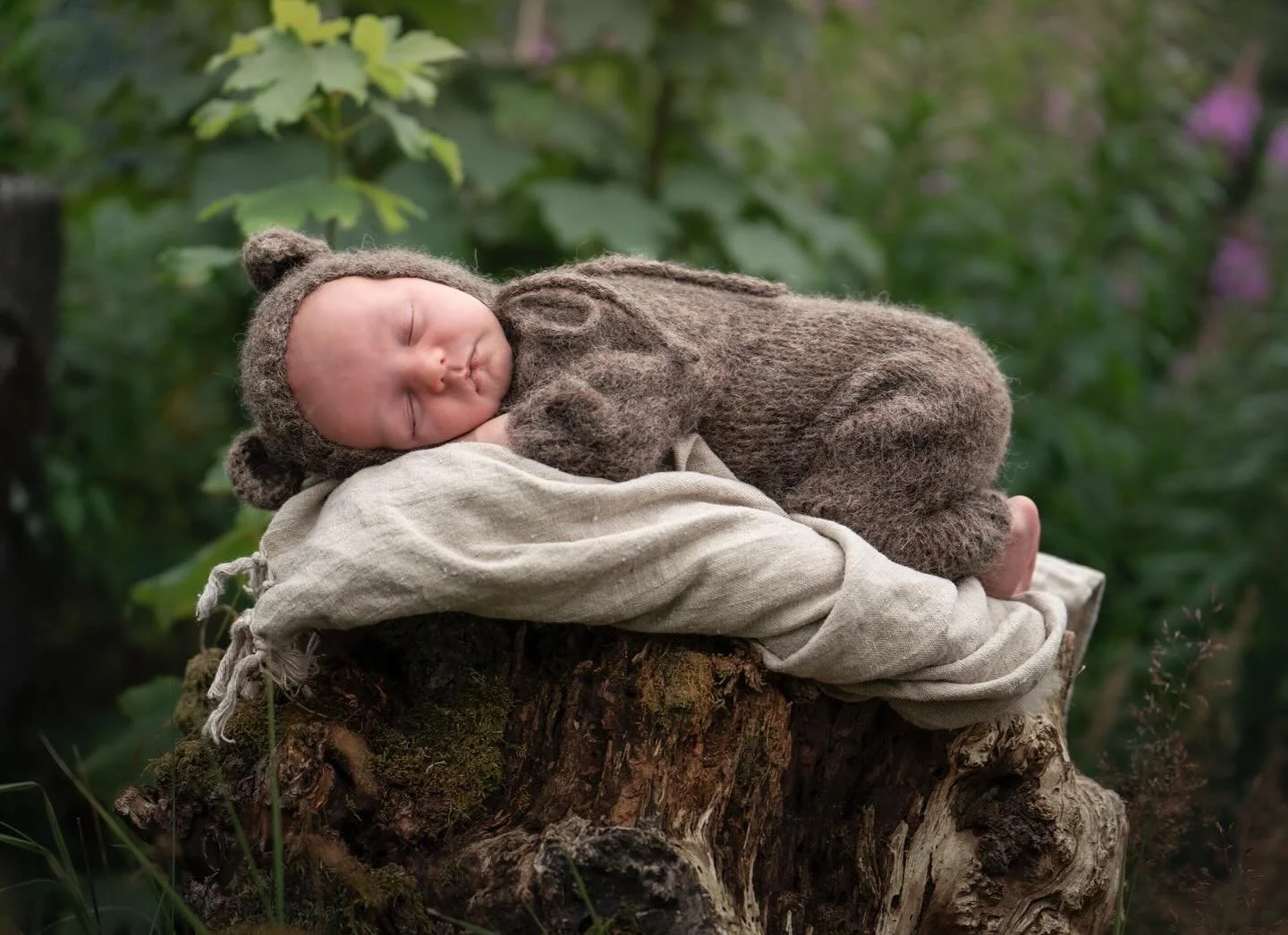 Finaste Daniel - lillebror 🤎🍃&thinsp;
&thinsp;
&thinsp;
&thinsp;#nyf&oslash;dtfoto #nyf&oslash;dt #nyf&oslash;dtfotograf
#s&oslash;skenfoto #s&oslash;skenfotografering #barnefoto #barnefotogragering #childrenphotography #norge #norway #utefoto #ute