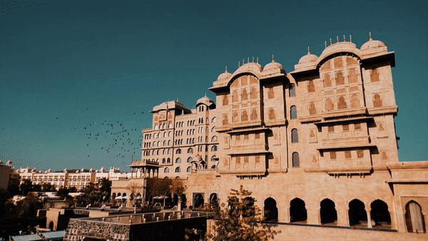 ezgif.com-gif-maker (7).gif