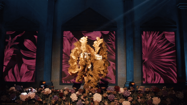 SAN-5.gif