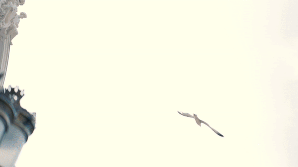 ezgif.com-video-to-gif.gif
