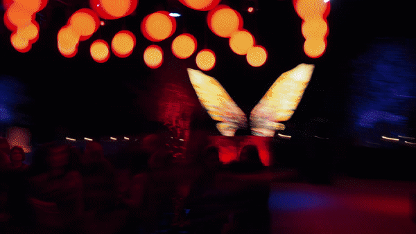 4.gif