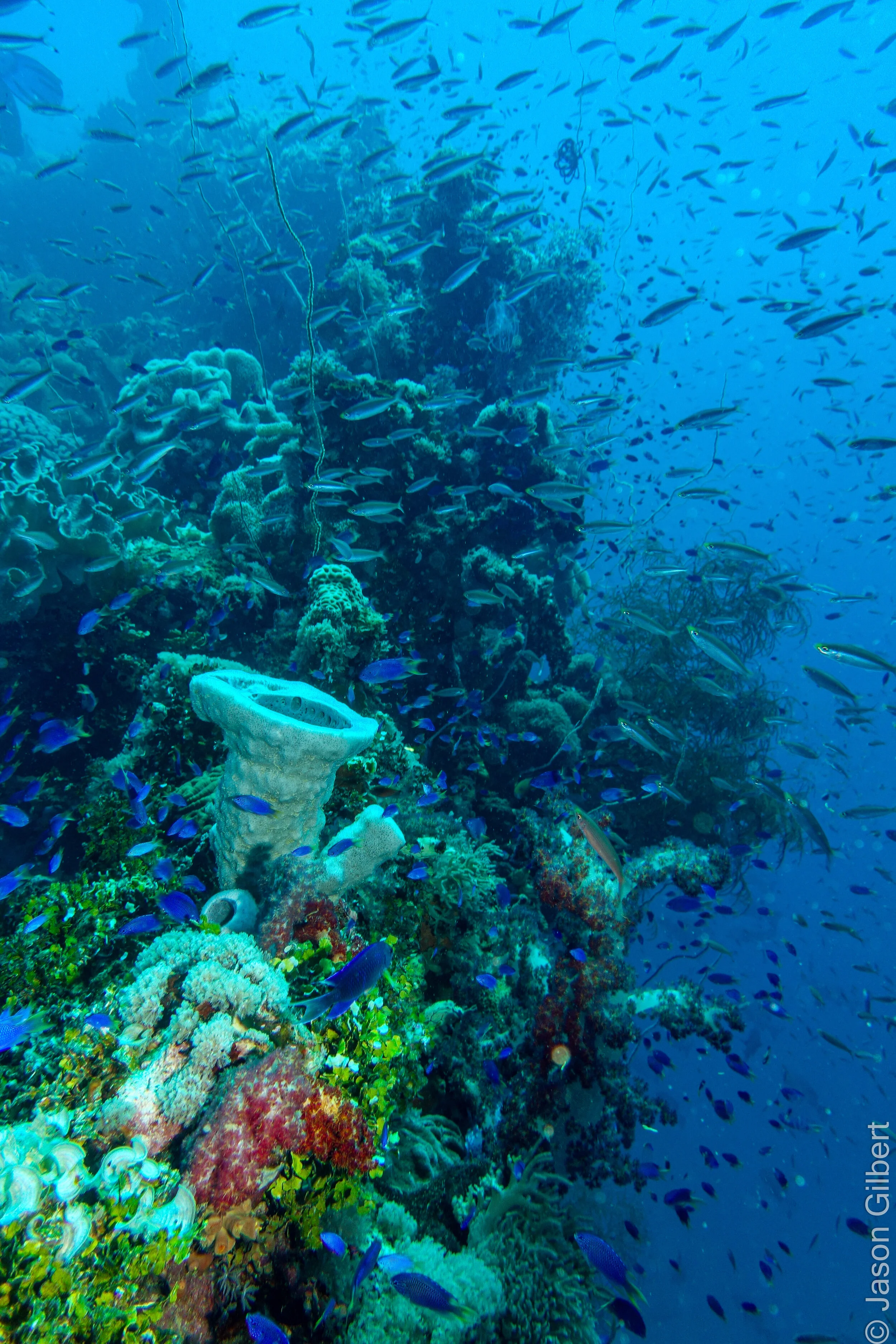 Chuuk -69 - Copy.jpg