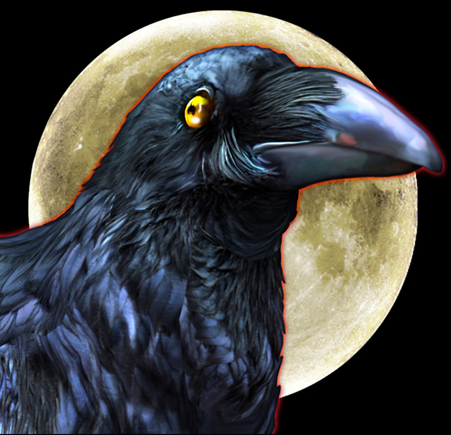 ravenbird copy.jpg