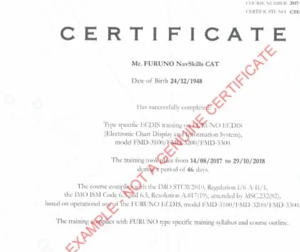 Certificate+example.jpg
